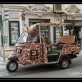 Tuktuk Safari